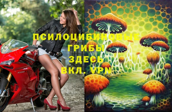 гашик Шали