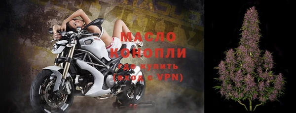 гашик Шали