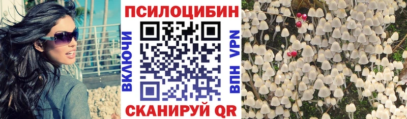 Псилоцибиновые грибы Magic Shrooms  Цивильск 